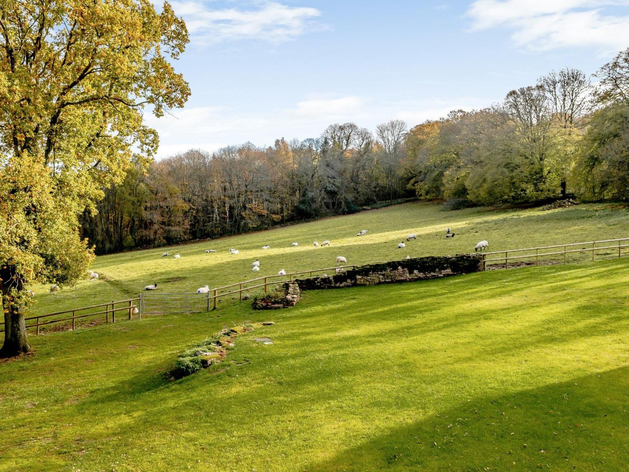 Horseshoe - Uk30759 Bream Bagian luar foto